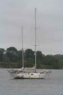 the-black-pearl.jpg