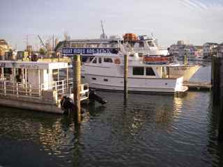 the-dockage.jpg
