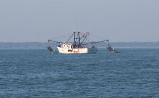1204-shrimp-boat.jpg