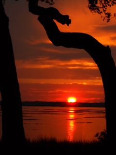 sunset.jpg
