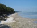 beach-scene-2-indian-key.jpg